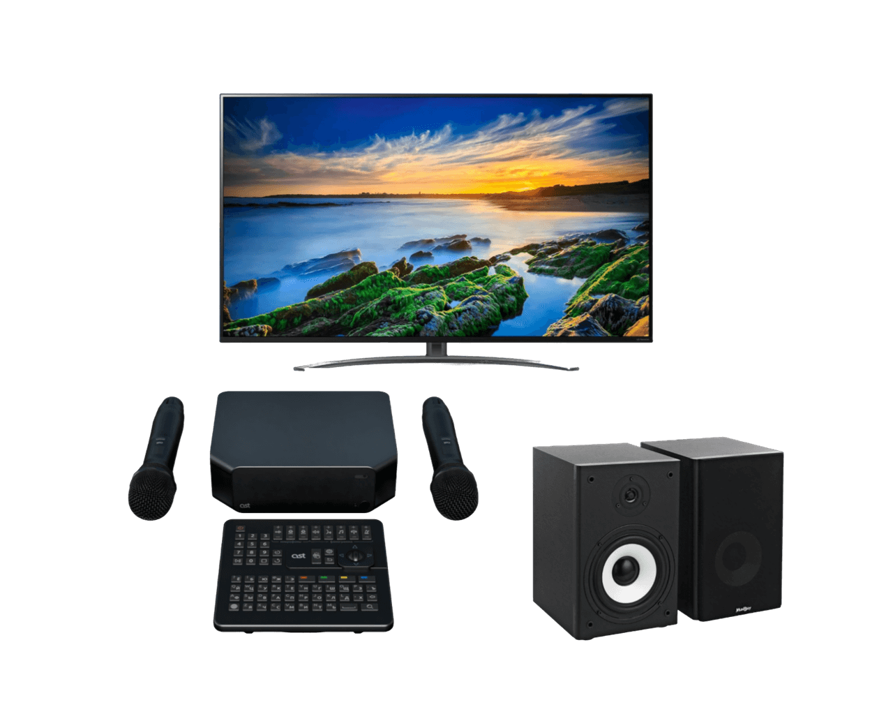 Караоке для квартиры комплект Базовый Плюс