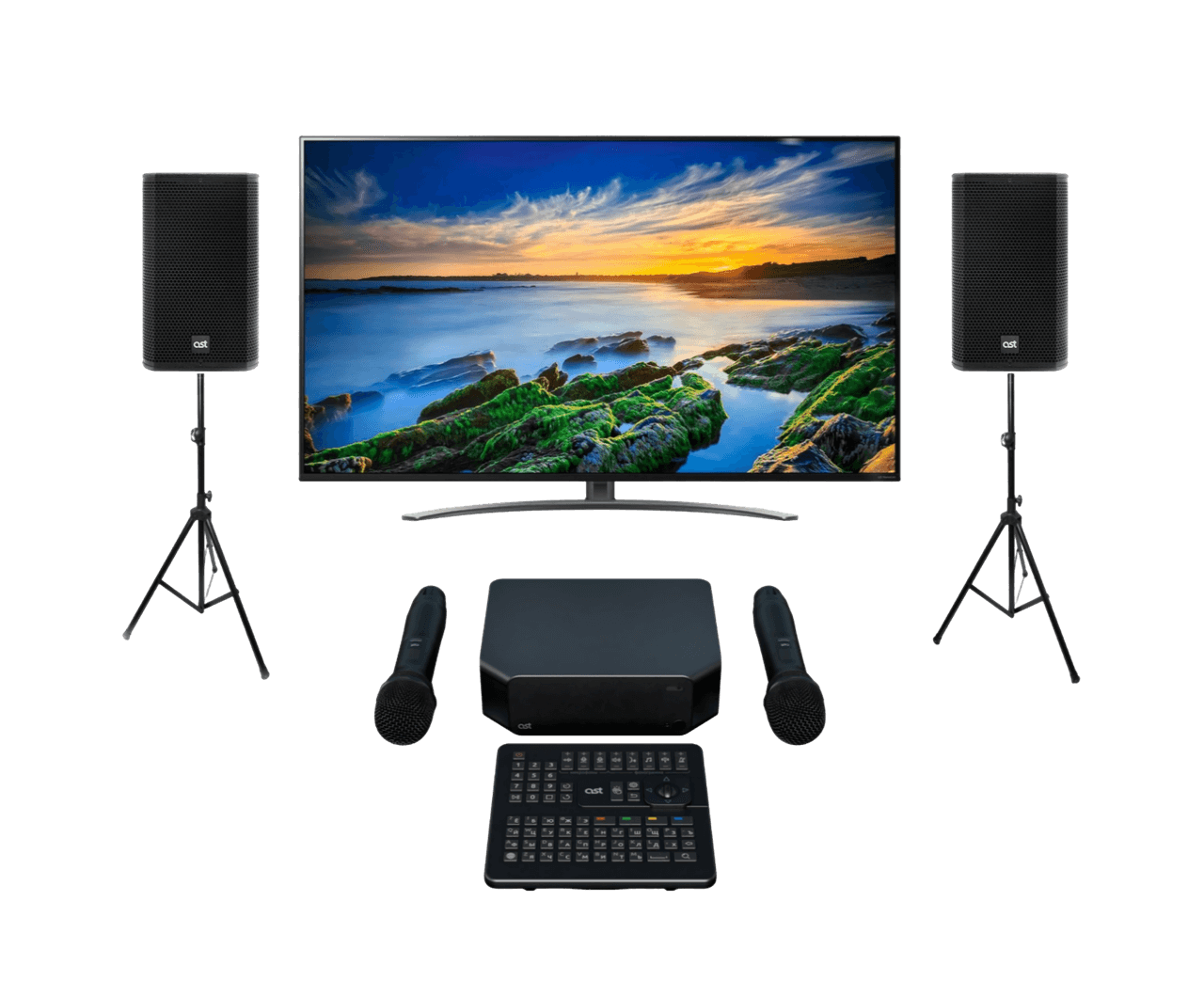 Комплект караоке до 60 м2 профессионал с акустикой AST-310A
