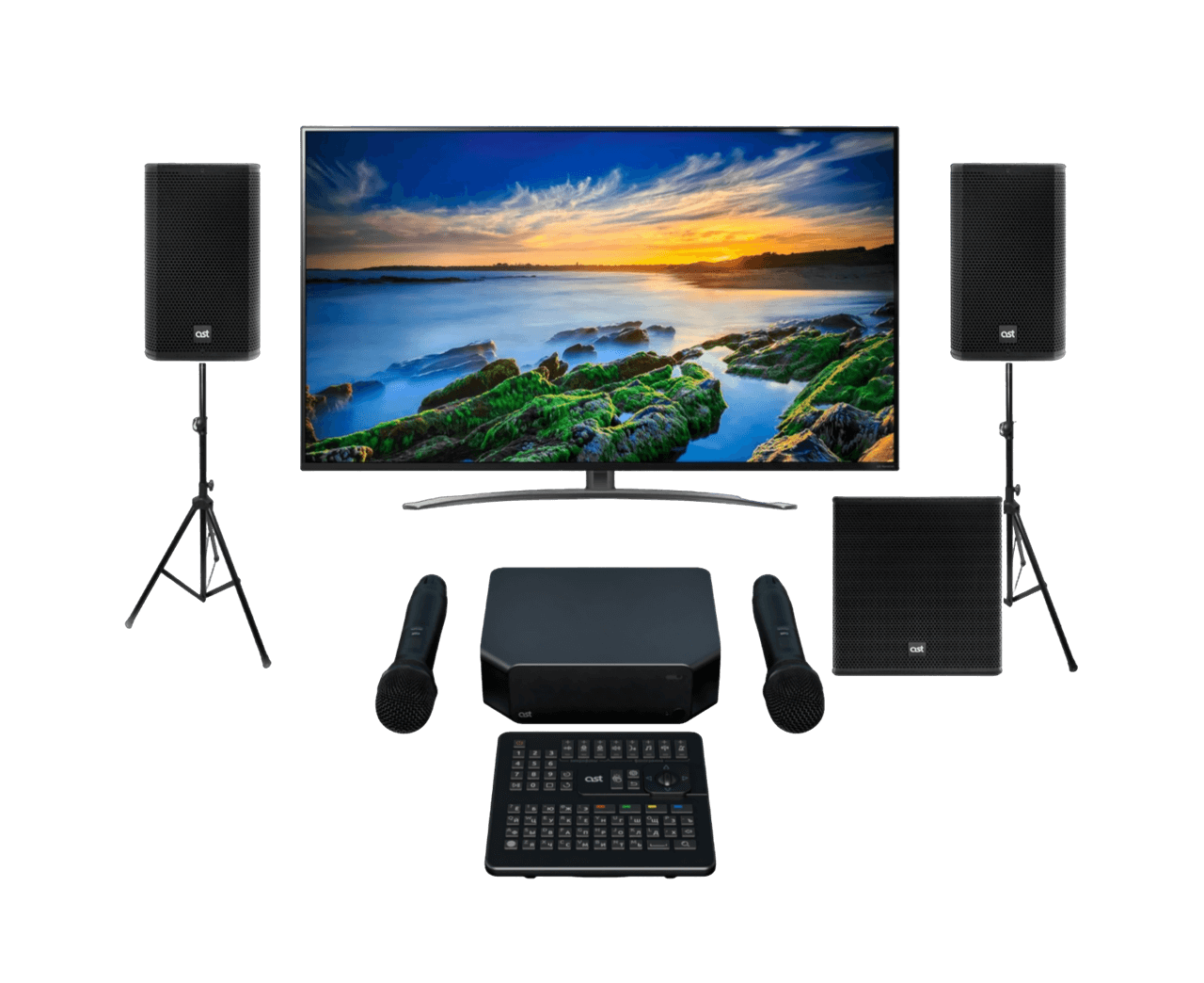 Караоке комплект в интерьере караоке-клуба